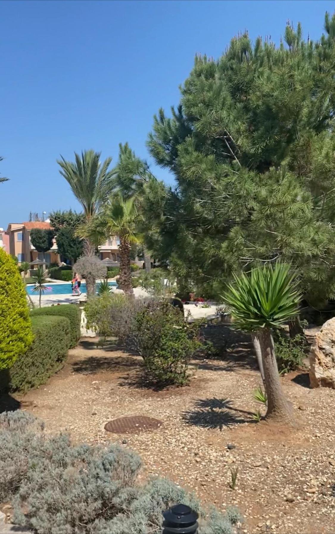 Newly Renovated- Regina Gardens 1, Venus Beach 500 M, Sea&Sunsets View, License Ooo7141 Пафос Екстериор снимка