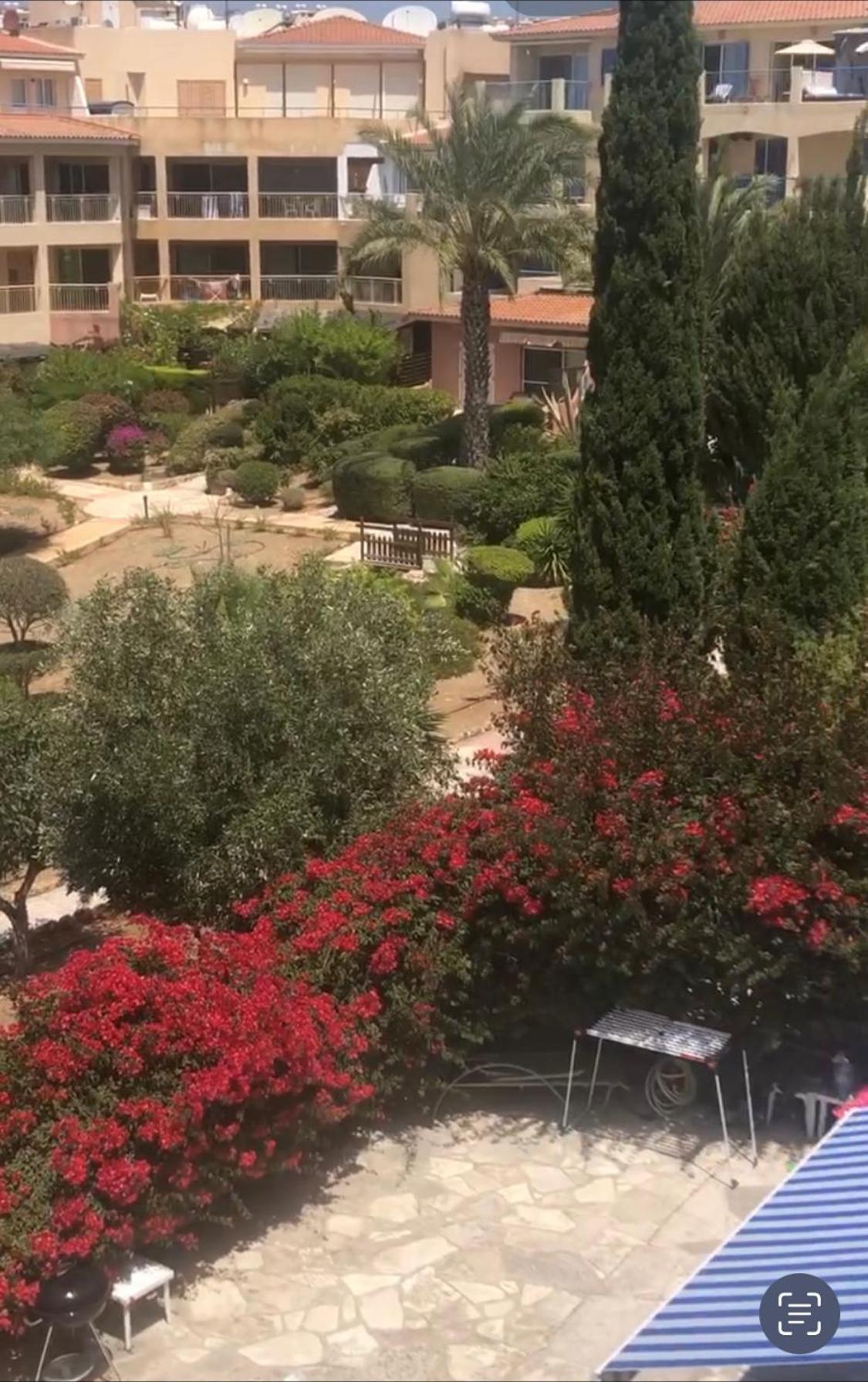 Newly Renovated- Regina Gardens 1, Venus Beach 500 M, Sea&Sunsets View, License Ooo7141 Пафос Екстериор снимка