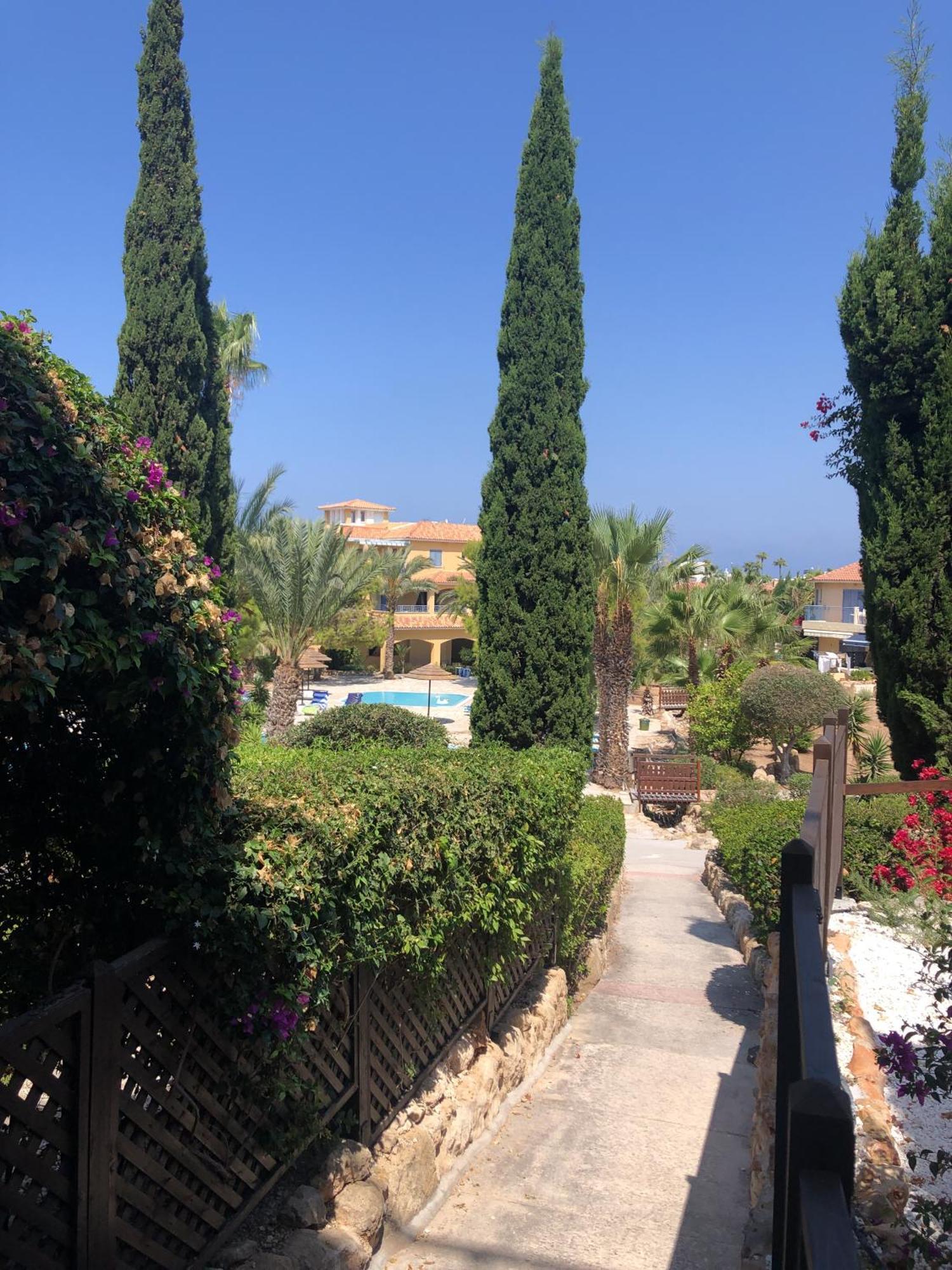 Newly Renovated- Regina Gardens 1, Venus Beach 500 M, Sea&Sunsets View, License Ooo7141 Пафос Екстериор снимка